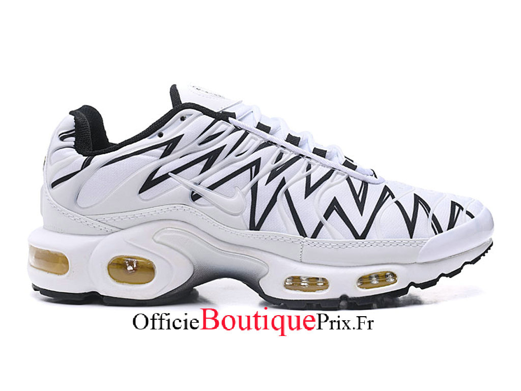 chaussure nike air max plus pour homme